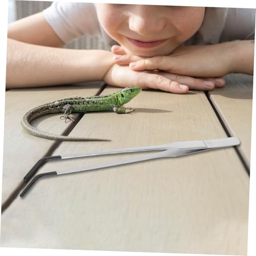 TEHAUX 2pcs Stainless Steel Feeder Tongs with Rubber Tips Curved Long Handle Reptile Accessories for Easy Feeding of Snakes Lizards and Aquatic Plants
