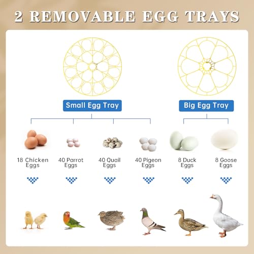 Incubators for Hatching Eggs, 18-Egg Incubator with Automatic Egg Turning and Humidity Control, Egg Candler, External Water Filling, Incubator for Chicken Eggs