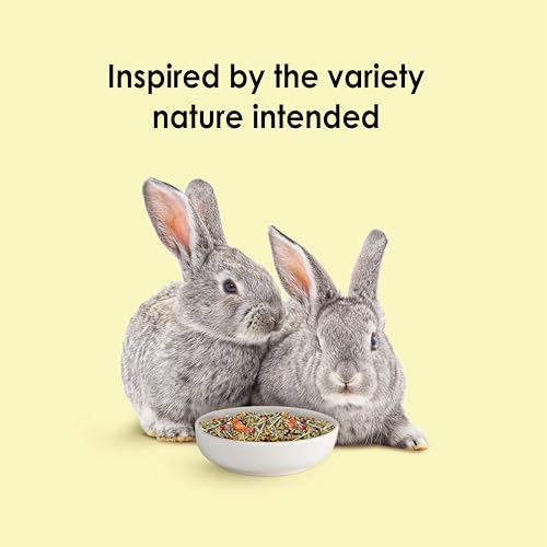 Kaytee Food from The Wild Natural Pet Rabbit Food,4 Pound,(Pack of 2) - size: 4 Pound (Pack of 2)