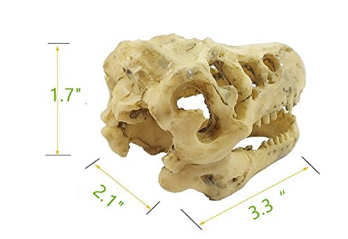 Hewnda Aquarium Decoration Skeleton Hole Resin Artificial Dinosaur Skull Skeleton Ornament - Fish Tank Small Skull Aquarium Decorations cave Landscape pet Reptile House