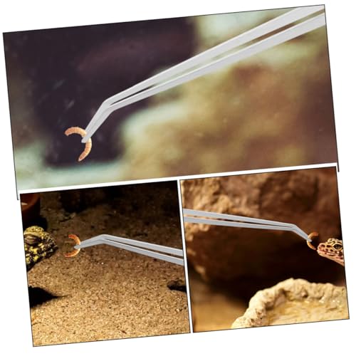 Heavy-Duty Stainless Steel Reptile Feeding Tongs Long Handle Tweezers for Aquatic and Terrarium Use Angled Design for Precision Feeding for Lizards and Snakes