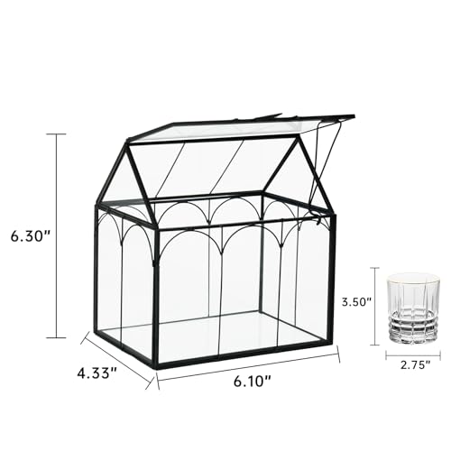 Ferrisland Glass Plant Terrarium Container Wardian Case Indoor Small Succulent Terrarium Planter W/Door for Tabletop Decor DIY (6" L x 4.3" W x 6.3" H) - size: 6" L x 4.3" W x 6.3" H