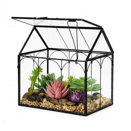 Ferrisland Glass Plant Terrarium Container Wardian Case Indoor Small Succulent Terrarium Planter W/Door for Tabletop Decor DIY (6" L x 4.3" W x 6.3" H) - size: 6" L x 4.3" W x 6.3" H