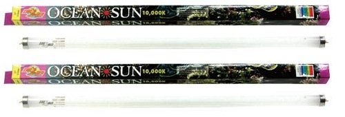 Zoo Med (2 Pack) Ocean Sun 10, 000K 420 Daylight Bulb T8 17 Watts, 24-Inch
