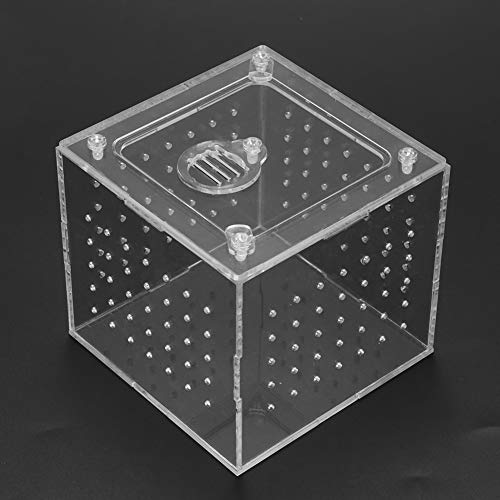 Pomya Transparent Acrylic with Ventilation | Feeding Hole Breeding Box for Insects Crabs Snakes Spiders Lizards