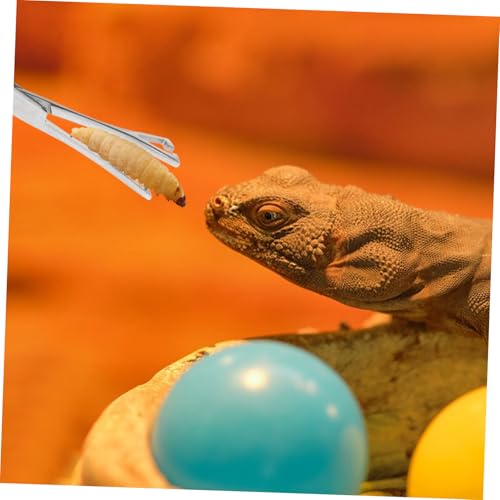 VICASKY Reptile Feeding Tongs Stainless Steel Tweezers for Safe Feeding Long Handle Gentle Grip for Snakes Lizards Animals Food Clip Tool for Terrarium