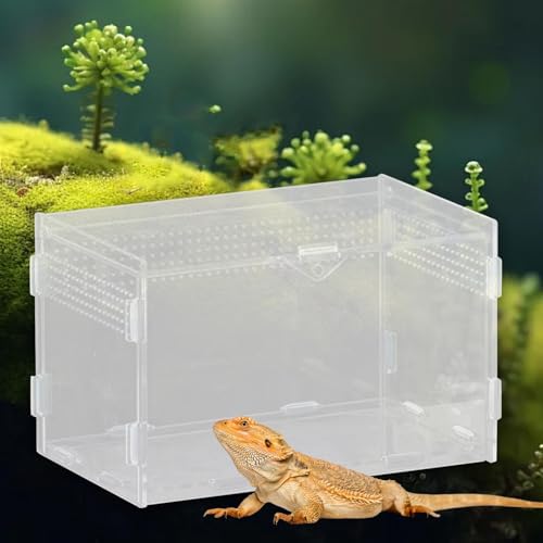 Reptile Breeding Box Terrarium Clear Animal Habitat Cage with Ventilation Holes for Geckos Frogs Hermit Crabs- 20x12x12cm - size: 20x12x12cm