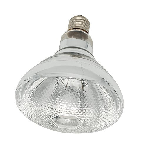 Infrared Heating Lamp Clear Hard Explosion-Proof Glass UV Coating for Animal, Bathroom Warming Light Bulb (150w,120v)
