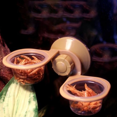 HEMOTON 2pcs Suction Cup Reptile Food Bowls with Single and Double Basin Design, Sturdy Plastic Lizard Feeding Dish for Terrarium Use, Suitable for Geckos, Frogs, and Small Amphibians
