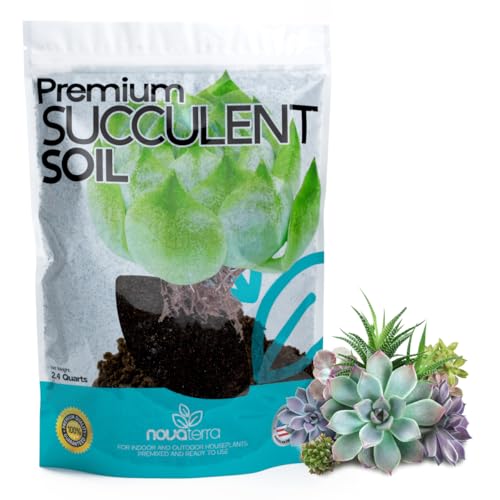 Succulent Soil Potting Mix Succulents Plants Live Succulent pots Potting Soil for Succulents Indoor suculentas Potting - color: Succulent Soil