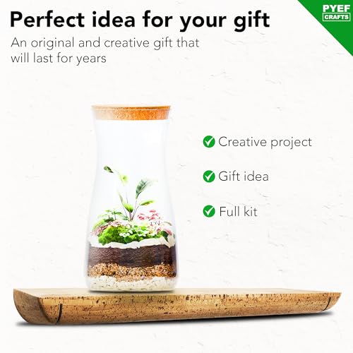 Terrarium Kit for Plants DIY | Starter Pack – Closed Ecosystem – 34 fl oz Glass – Succulents, Air Plants, Bonsai, Indoor Plants – (Plants Not Included) - size: 34 fl oz