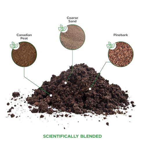 Succulent Soil Potting Mix Succulents Plants Live Succulent pots Potting Soil for Succulents Indoor suculentas Potting - color: Succulent Soil