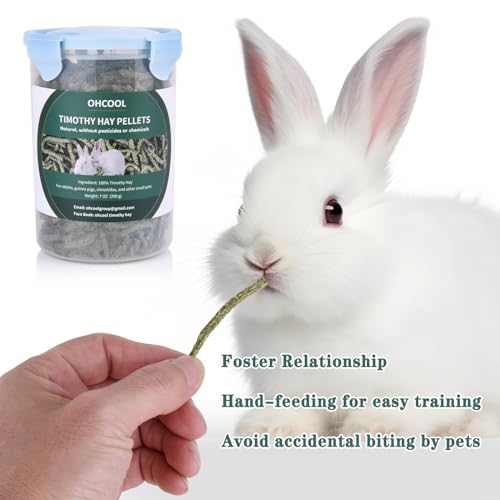 Timothy Hay Pellets 6.4oz for Rabbits & Tortoises | 100% premium timothy pellets with balanced nutrition for rabbits and tortoises