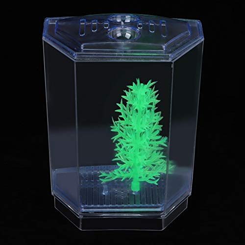 Mini Fish Tank Aquarium | Transparent Acrylic Breeding Box & Hatching Incubator | Isolate Sick Fish/Guard Fry/Grow Plants | with Sediment Groove & Ventilation Cover