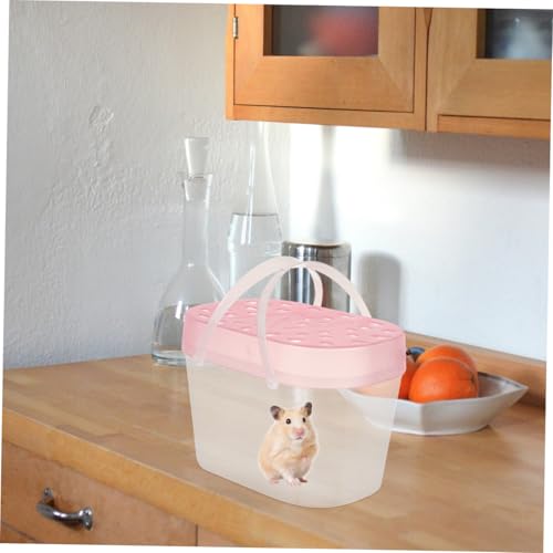 POPETPOP 2pcs Small Pet Plastic Carriers Portable Hamster Boxes Turtle Cases Handheld Reptile Travel Cages for Outdoor Use