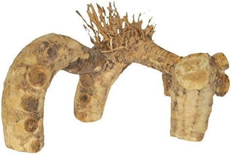 Natural Driftwood Branch Reptile Terrarium Décor, Climbing & Hiding Enrichment for Lizards, Geckos, Snakes, Amphibians, Medium Size -16" x 15"