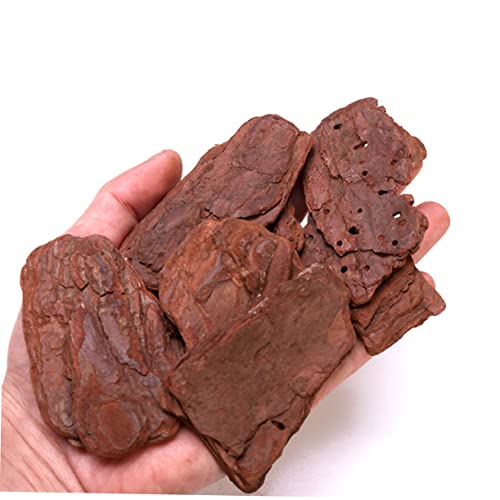 1pack Reptiles Box Pine Bark Landscaping Material Pack of Fine Polished Adornment for Terrarium Decor Safe for Reptiles Adds Natural Beauty to Habitat Present for Enthusiasts