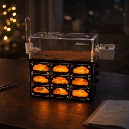 Lumen Hotel Ant Farm Nest with Built-in LED Lights, Hydration System, Trash Box & Ant Keeping Starter Kit - color: Hotel