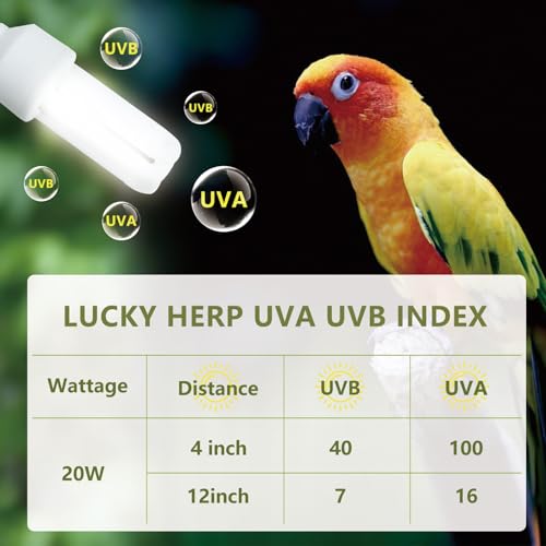 LUCKY HERP UVA UVB Light Bulb for Birds 2.4 UVB 20W Compact Flourescent Lamp for All Kinds Captive Birds
