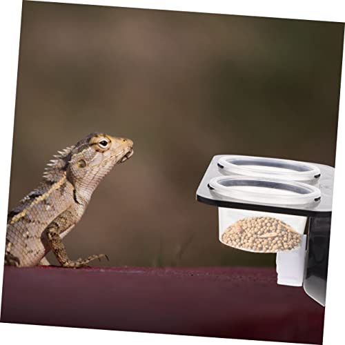 TOYANDONA 1Set Reptile Feeding Ledge with Suction Cup Detachable Food Basin Water Feeder Reptile Tank Supplies for Gecko Lizard Frog