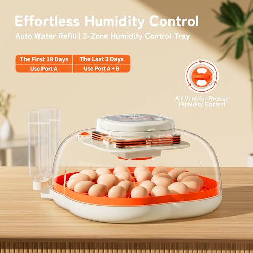 APDOE Egg Incubators for Hatching Eggs, Temperature and Humidity Control, Automatic Egg Turning, Egg Candler, External Water Bottle, Air Vent, for Chicken, Duck & Quail Eggs, 25 Eggs - size: 25 Eggs