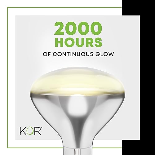 KOR 250 Watt R40 Clear Heat Lamp Light Bulb, Incandescent Reflector, Head Lamp, Heat Flood Lamp Light Bulb, E26 Standard Medium Screw Base, 120V, 2,000 Hour Rated, 2 Pack - color: Clear