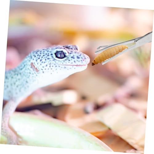 VICASKY Reptile Feeding Tongs Stainless Steel Tweezers for Safe Feeding Long Handle Gentle Grip for Snakes Lizards Animals Food Clip Tool for Terrarium