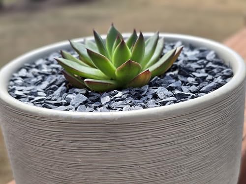 Natural Slate Stone Gravel 1/8 to 1/4 inch - USA Sourced and Packaged for Basing Models, Wargaming, Mosaic Stone Art, Crafts, Bonsai, Succulents, Miniature or Fairy Gardens, Aquariums (1lb)