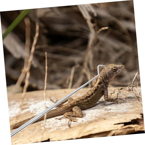 balacoo Retractable Reptile Hook Snake Catching Tool for Moving Handling Snakes Portable Accessory and Reptile Collectors