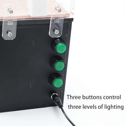 Lumen Hotel Ant Farm Nest with Built-in LED Lights, Hydration System, Trash Box & Ant Keeping Starter Kit - color: Hotel