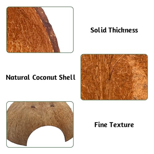 PINVNBY 4 PCS Natural Coconut Reptile Hideouts Lizard Coco Hut Hermit Crab Hut Aquarium Fish Hide Cave Spider Snail Climber Toys - size: 4 PCS Smooth Surface