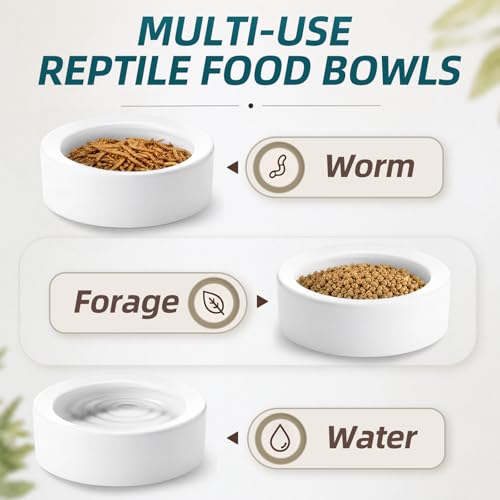 Meanplan 4 Pcs Reptile Bowl Food Dish Reptile Water Food Feeding Dish Ceramic Worm Pet Bowl Anti Escape Feeder for Lizard Anoles Chameleon Bearded Dragon Hermit Crab (4.92 Inch) - size: 4.92 Inch