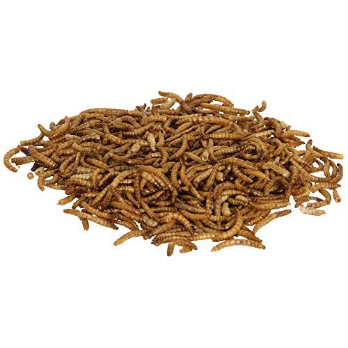 Zilla 2 Pack of Reptile Munchies Mealworms, 3.75 Ounes each, for Bearded Dragons, Leopard Geckos, Chameleons, Large Tropical Fish, and Birds