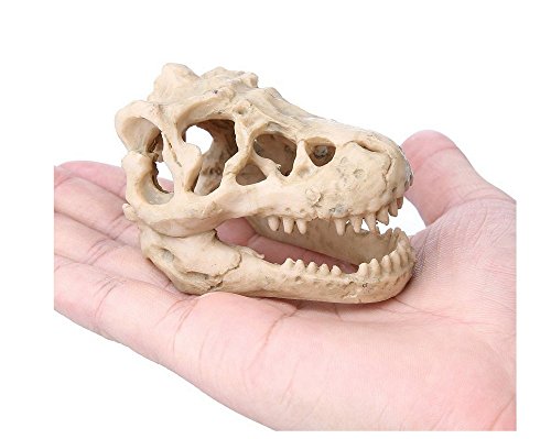 Hewnda Aquarium Decoration Skeleton Hole Resin Artificial Dinosaur Skull Skeleton Ornament - Fish Tank Small Skull Aquarium Decorations cave Landscape pet Reptile House