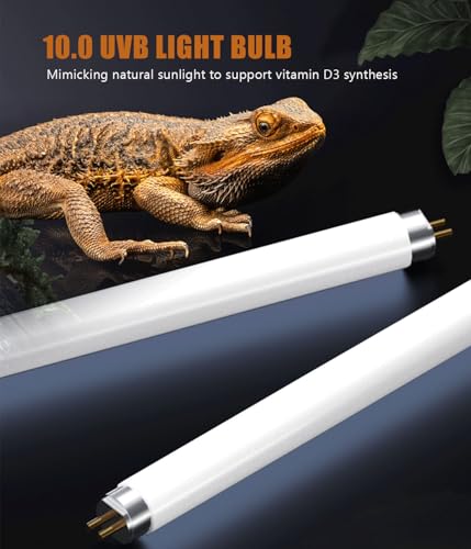 3 Pack T5 10.0 UVB Reptile Light Bulb 8W 12 Inch, UVA UVB Lamp for Bearded Dragons, Chameleons, Turtles, Tortoises, Lizards - Desert & Tropical Reptiles - size: 8W T5 Tube