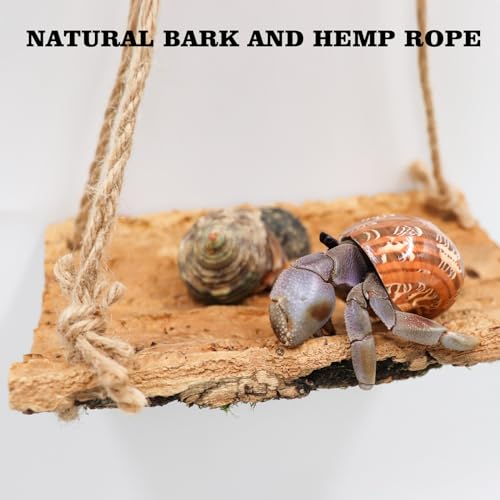 Oooct Hermit Crab Climbing Toy, Natural Wooden Reptile Swing Toy, Pet Cage Tank Aquarium Accessories for Hermit Crab Lizard Chameleon Hamster Guinea Pig Chinchilla Bird Parrot - size: Large-11.8 × 7.8 Inch