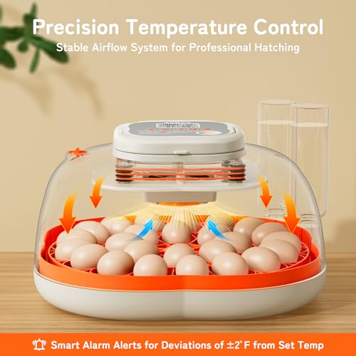 APDOE Egg Incubators for Hatching Eggs, Temperature and Humidity Control, Automatic Egg Turning, Egg Candler, External Water Bottle, Air Vent, for Chicken, Duck & Quail Eggs, 25 Eggs - size: 25 Eggs