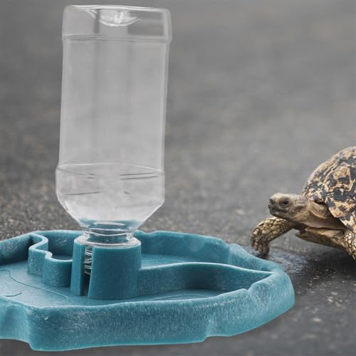 Beavorty Automatic Reptile Water Feeder Bowl for Tortoises and Lizards, Reptile Water Dish with Reservoir, Sturdy Pet Feeding Accessory for Terrariums, Blue and Brown