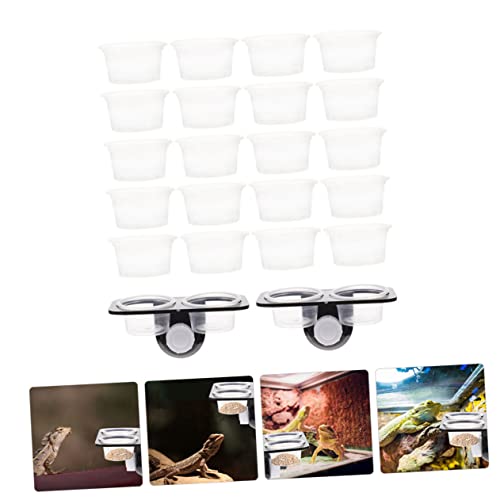 TOYANDONA 1Set Reptile Feeding Ledge with Suction Cup Detachable Food Basin Water Feeder Reptile Tank Supplies for Gecko Lizard Frog