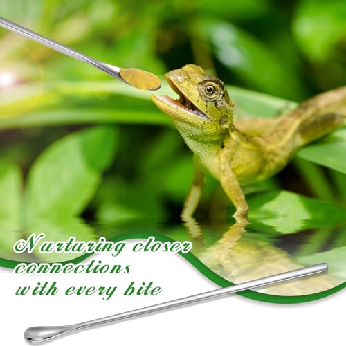 Lasnten 2 Pcs Stainless Steel Reptile Feeding Tong, Feeding Spoon for Bearded Dragon Snake, 10.5'' Aquarium Curved Tweezer with Rubber Tip, Terrarium Feeder Tool for Crested Gecko Tank Accessories