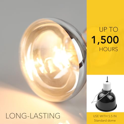 MRREPTILE Reptile Heat Lamp Bulbs, 2-Pack 100W Daylight Basking Bulbs, Reptile Basking Lamps, Bearded Dragon Basking Light, Simulated Natural Basking for Reptiles Snakes Lizards Tortoise Heater - size: 100W