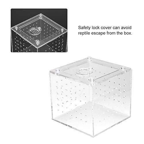Pomya Transparent Acrylic with Ventilation | Feeding Hole Breeding Box for Insects Crabs Snakes Spiders Lizards