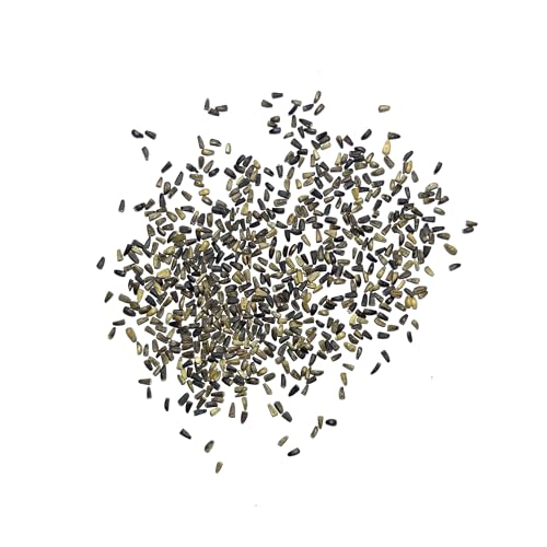 Seed Needs Garnet Stem Dandelion Seeds to Plant Heirloom & Non-GMO 5 Packs - size: 5 Packs, style: Garnet Stem Dandelion