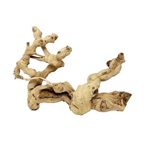 Natural Sandblasted Grapevine Branch great for reptiles, arachnids, birds, mammals and more! 16"-24" piece of natural driftwood for terrariums, vivariums, bird habitats, mammal habitats and more.