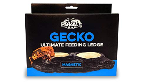 Pangea Ultimate Gecko Ledge - Magnetic Feeder for Crested Geckos | 8.5" x 4.75" x 2.25" Magnetic Gecko Feeder Ledge, Holds 1.5oz Feeding Cups