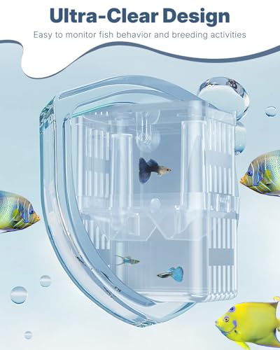 Pawfly Aquarium Breeding Box - Transparent Plastic Breeder Box for Fish Tank, Fry Hatchery Incubator for Baby Fish, Shrimp, Betta, Clownfish, Guppy, Large - size: Large