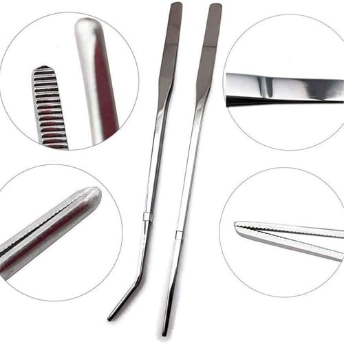 Aquarium Tweezers for Reptile Feeding, Stainless Steel Feeding Tongs for Reptile, 27cm Long Tongs with Curved Tips, Silver for Terrarium Enclosure Gecko Turtle Axolotl Bearded Leopard Lizard Saltwater