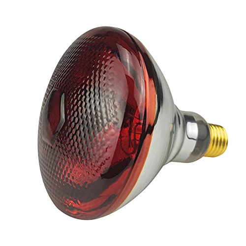 2 Pack 250W Red Heat Lamp Infrared Bulbs Heavy Duty PAR38 Glass Lamp for Food Service, Brooder Bulb, Chicks, Pet, Bathroom, Light Therapy Use E26 Base, Flood Light Heat Bulb. - size: ZX-250W
