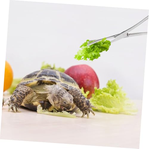 VICASKY Reptile Feeding Tongs Stainless Steel Tweezers for Safe Feeding Long Handle Gentle Grip for Snakes Lizards Animals Food Clip Tool for Terrarium