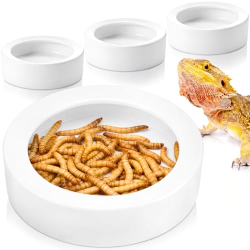 Meanplan 4 Pcs Reptile Bowl Food Dish Reptile Water Food Feeding Dish Ceramic Worm Pet Bowl Anti Escape Feeder for Lizard Anoles Chameleon Bearded Dragon Hermit Crab (4.92 Inch) - size: 4.92 Inch